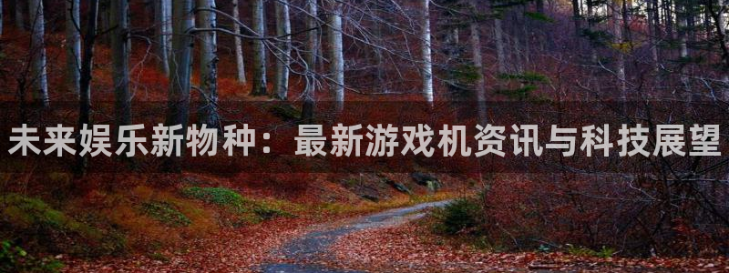 鼎点娱乐下载：未来娱乐新物种：最新游戏机资讯与科技展望