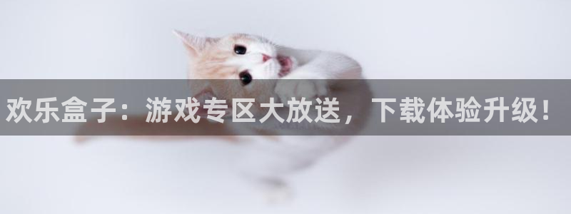 鼎点娱乐官网登录：欢乐盒子：游戏专区大放送，下载体验升级！