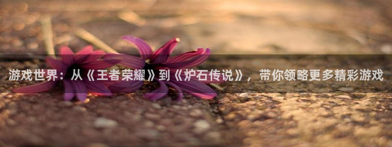 鼎点娱乐：游戏世界：从《王者荣耀》到《炉石传说》，带你领略更