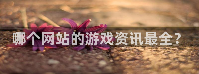 鼎点娱乐游戏：哪个网站的游戏资讯最全？