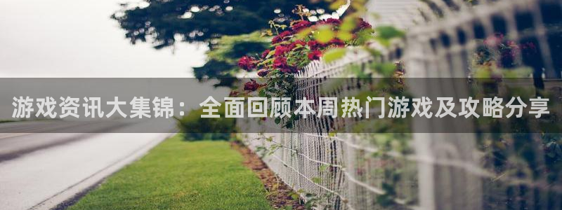 鼎点娱乐平台登录入口：游戏资讯大集锦：全面回顾本周热门游戏及
