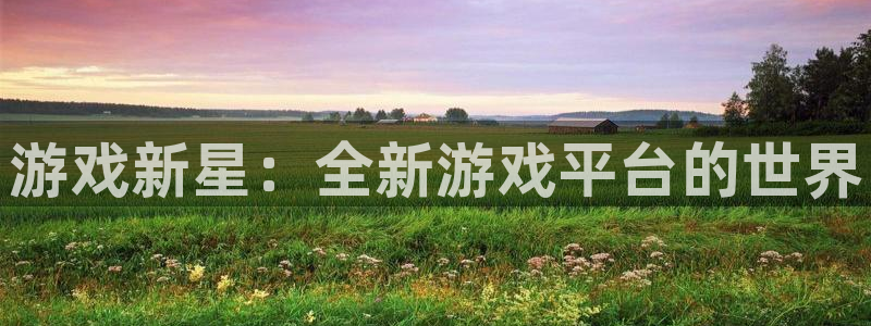 手机版鼎点娱乐客户端下载：游戏新星：全新游戏平台的世界
