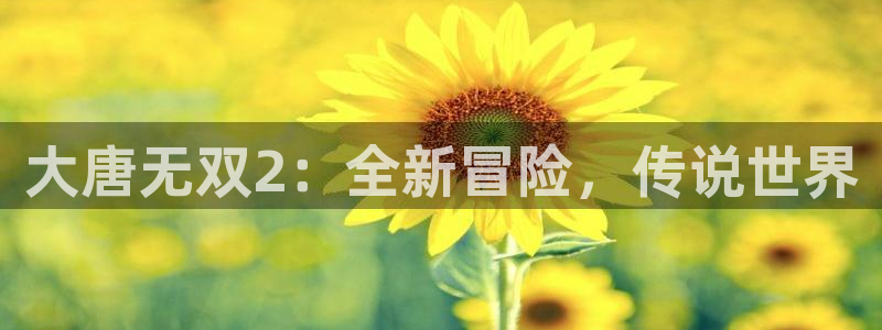 鼎点娱乐注册地址：大唐无双2：全新冒险，传说世界