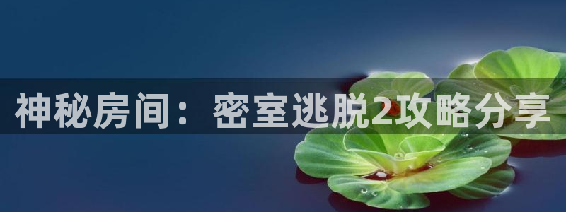 鼎点娱乐手机网页版登录：神秘房间：密室逃脱2攻略分享
